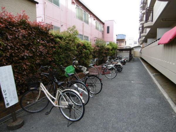 シャトー樹
