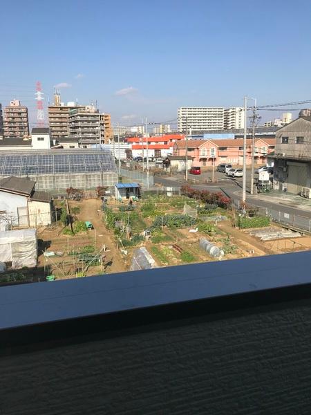 フジパレス長吉長原