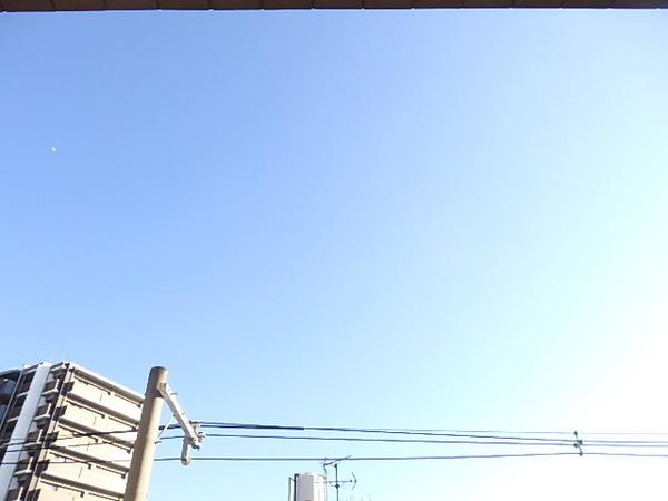 セザール平野