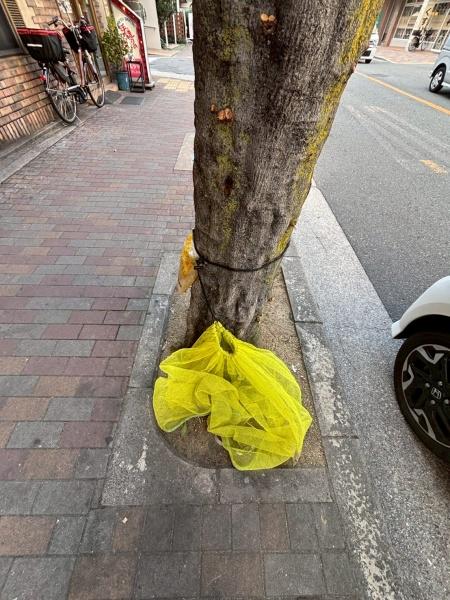 パールハイム針中野