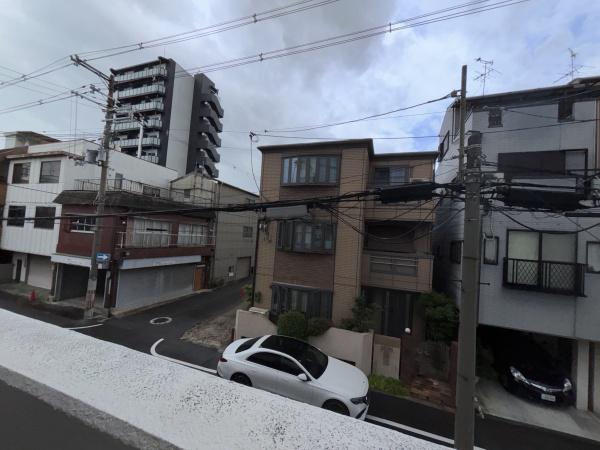 サンハイム林