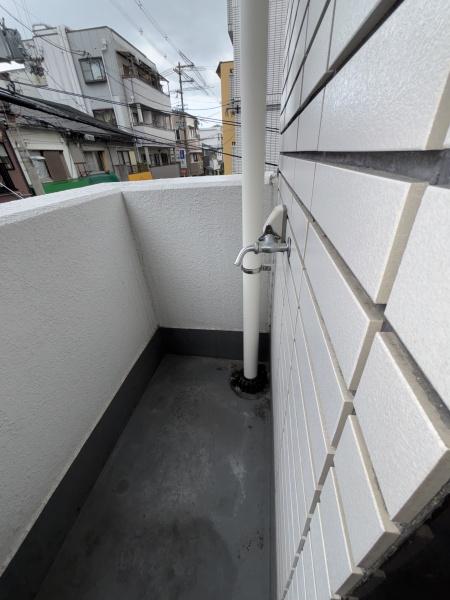 サンハイム林