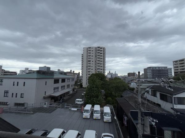 サンハイム林
