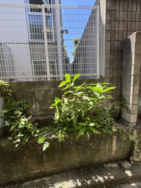 ミンク橋本町
