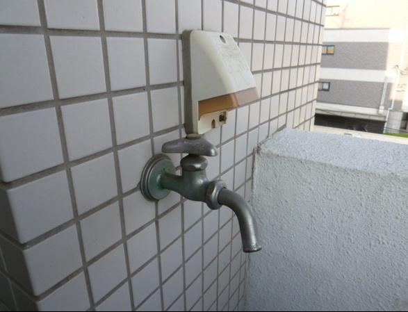 ラピタ