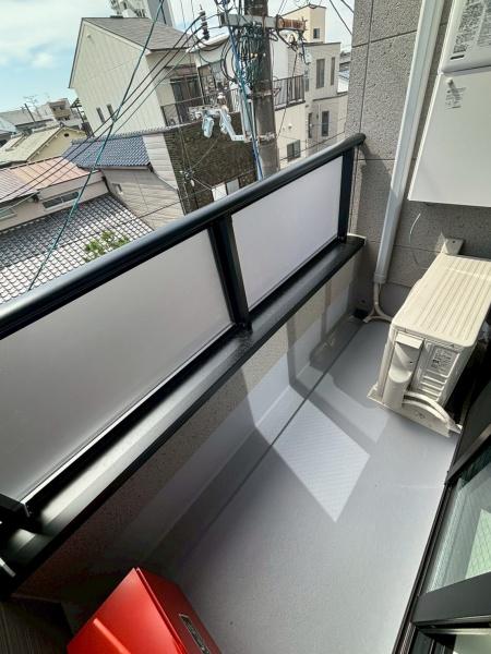 モアナ鷹合