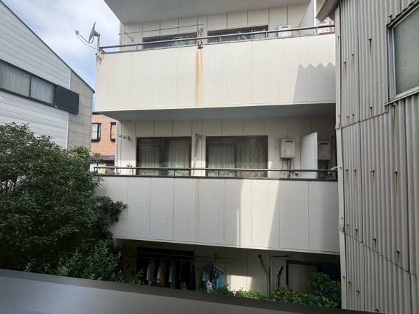 モアナ鷹合