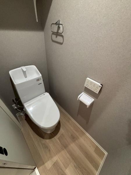 モアナ鷹合