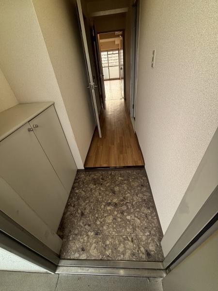 プレジオノーザンライツ