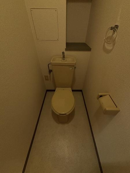 プレジオノーザンライツ