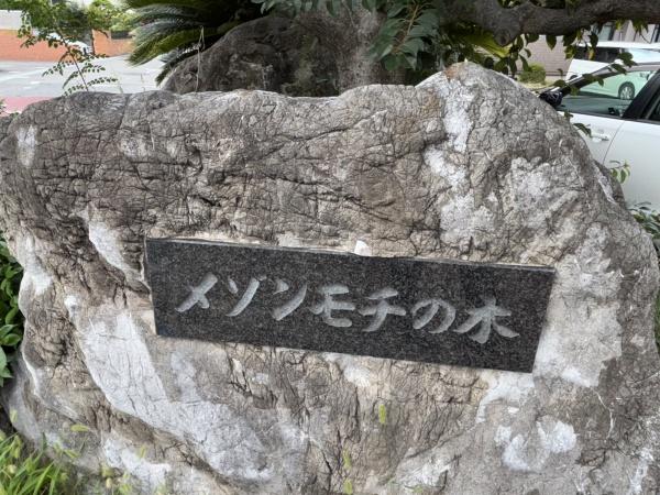 八尾市八尾木北６丁目のアパート