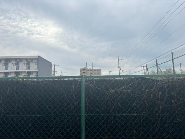 ハウスアルバ