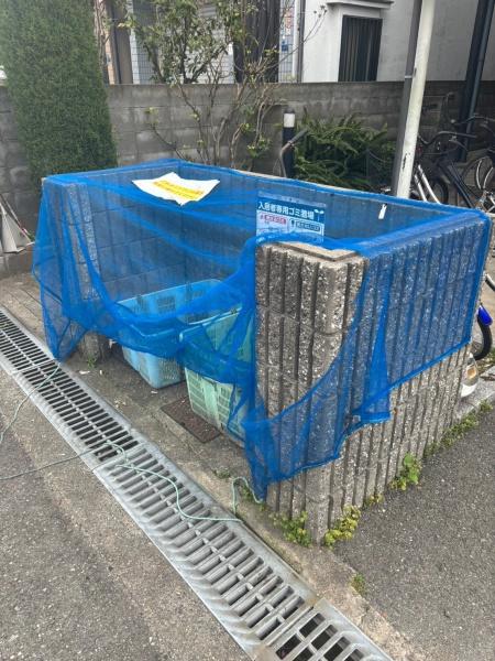 ハウスアルバ