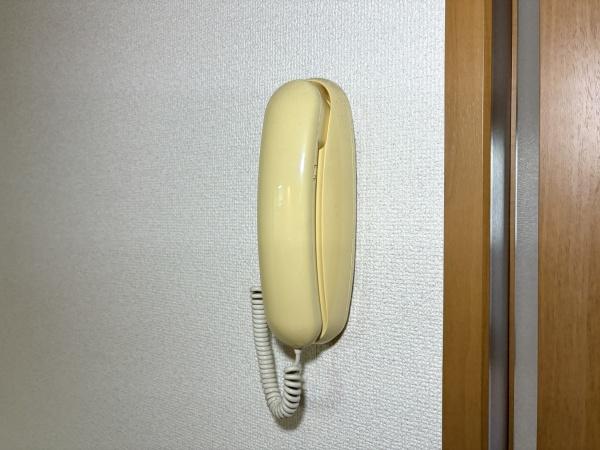 ハイツ・サーティワン