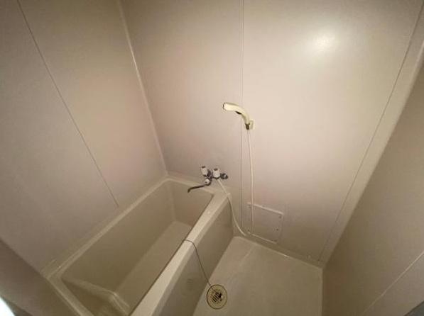 シャトーレーヌ