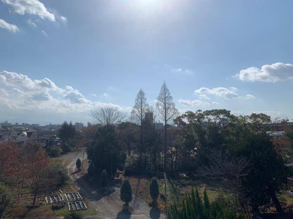 ヴェルドミール山忠流町