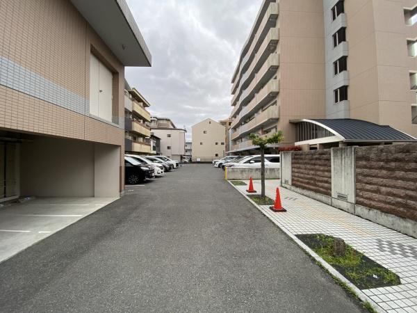 シーズモア