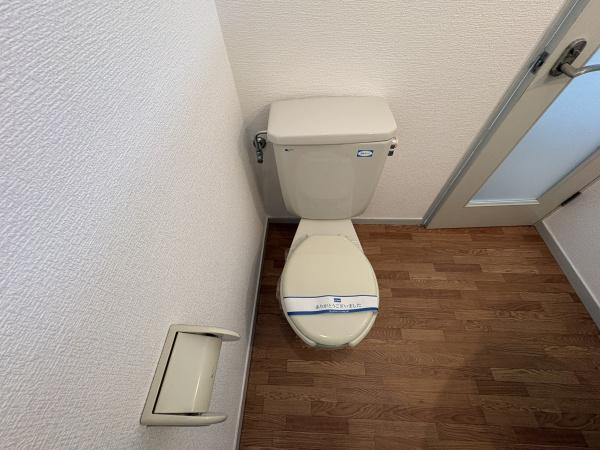 ワイズコート