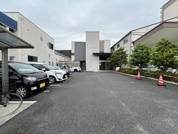 グラシア