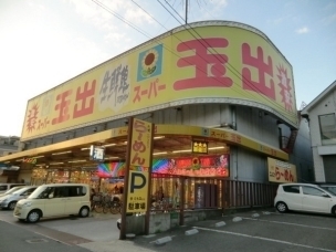 八尾市南本町９丁目の貸家(スーパー玉出八尾店)