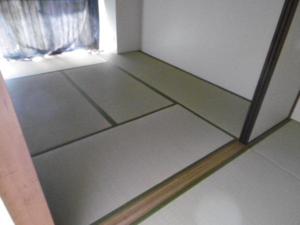 グレーシィ喜連
