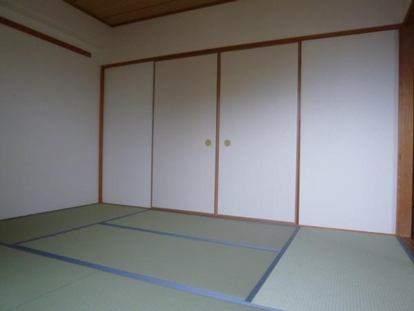 カミーノショウナン