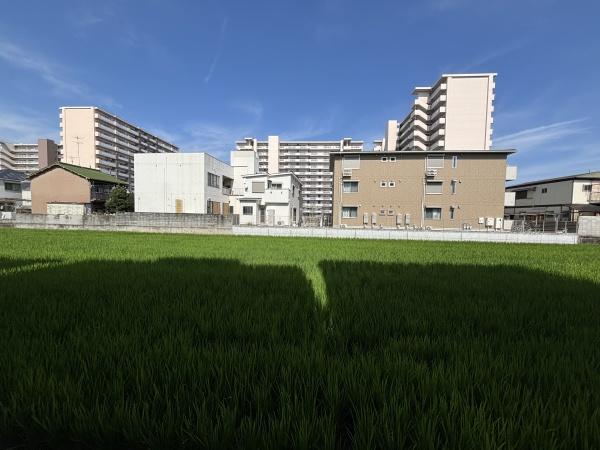 ロイヤル長吉