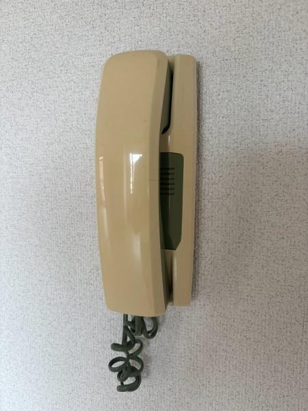 フリード平野
