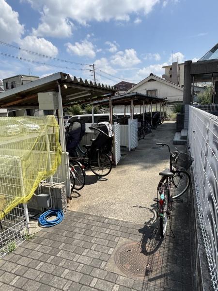 シューベリア平野