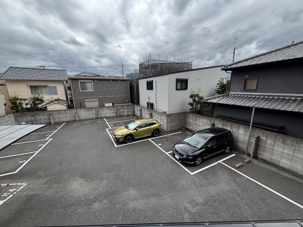 アイビーフラット