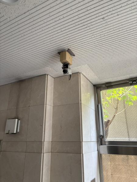 コンチネンタル平野