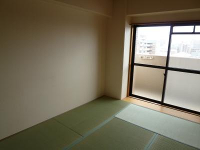 コンチネンタル平野