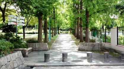 カネマスロイヤルコート(矢田教育の森公園)