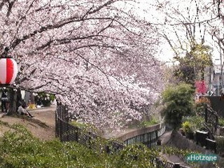 サンエリア(今川公園)