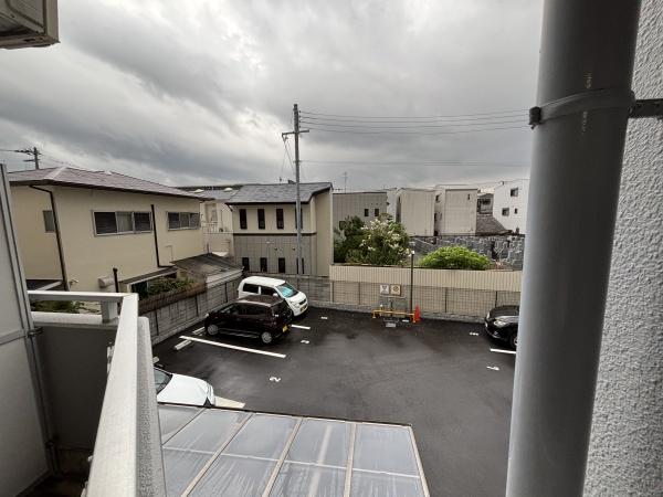 シーダー針中野