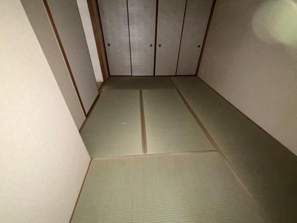 エバーグリーン