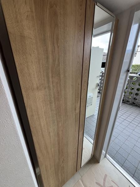 エバーグリーン