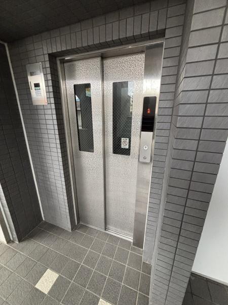 エバーグリーン