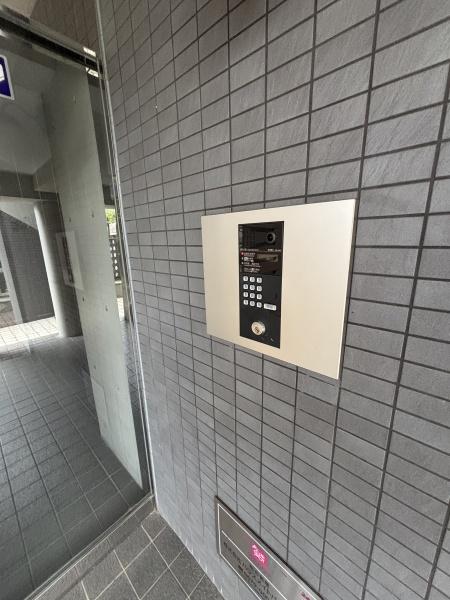 エバーグリーン