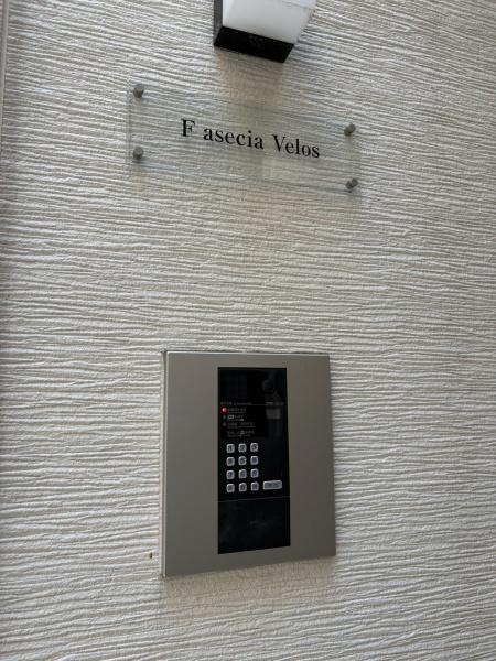 FaseciaVelos