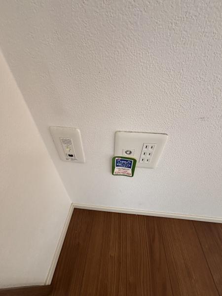 ケイ　グレース