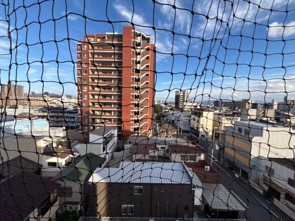 ドムス河堀口
