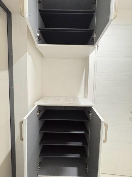 Dportaarcobaleon