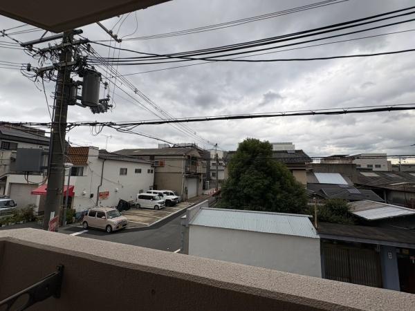 AVENILINOUEⅡ