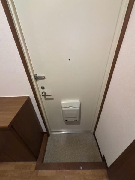 ブルーコート