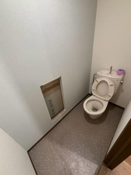 ステラハイツ