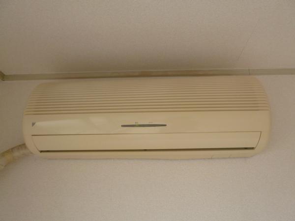 シード平野
