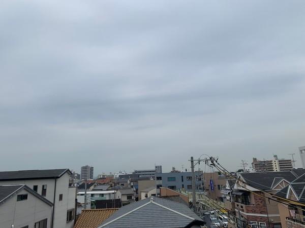 シンセイドルフ