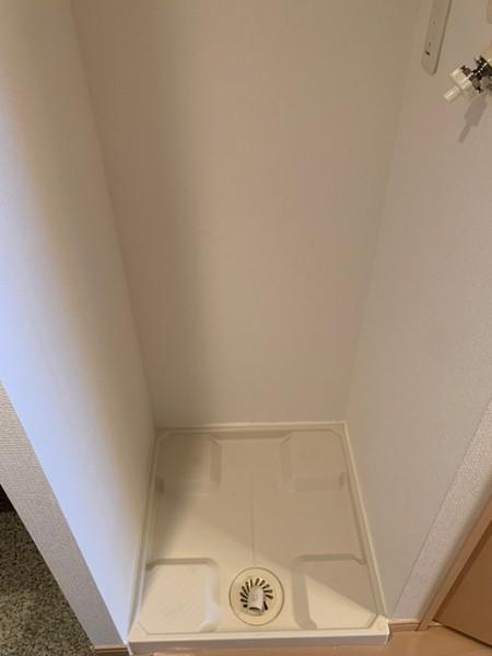 エムズコート
