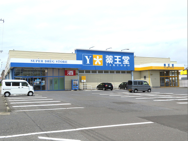 八戸市田向二丁目　田向.com・201号室　000093(薬王堂八戸田向店)